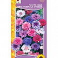 Василек (Волошка) Карликовый, смесь пастельных оттенков
